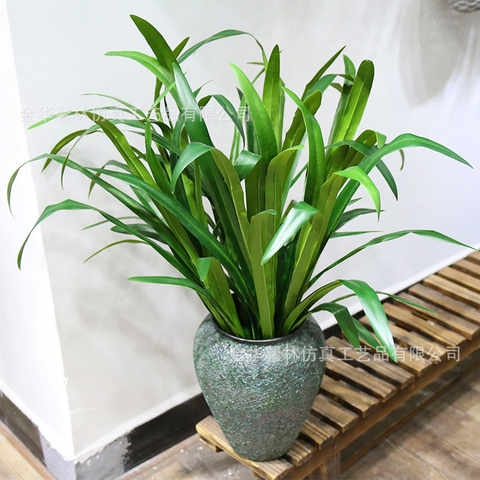 9叶兰花草剑兰叶植物墙配材仿真兰花叶吊兰家居饰品竹叶草超逼真