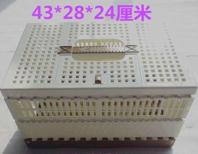 赛鸽训放笼手提塑料信鸽笼子鸽子用品用具放飞笼子迷你报道笼鸽具