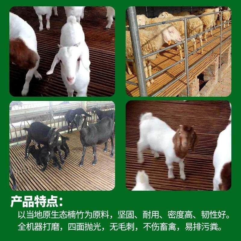 养殖设备床板鸭鹅竹漏板羊圈竹床板竹笆鹅架羊舍养羊羊床漏粪板竹