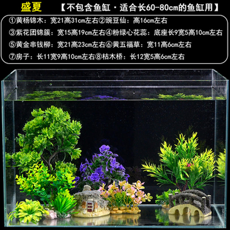 水族箱装饰品生态鱼缸水草植物活净水造景材料绿植假山石套餐