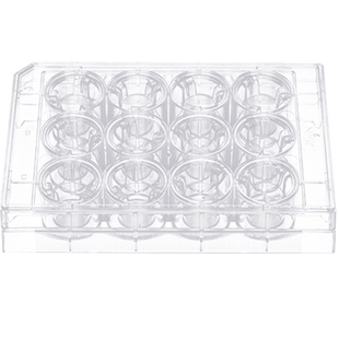 NEST耐思细胞小室transwell 嵌套PET聚酯膜 PC聚碳酸酯膜723101 724101 725121 723301 724001 725001 包邮