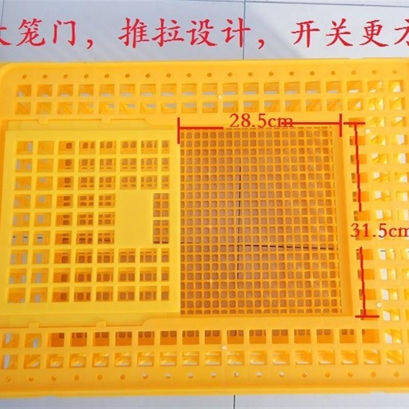 2017熟胶塑料鸡笼运输成鸡周转箱活鸡筐肉鸡框朔料装鸡鸭子的笼子