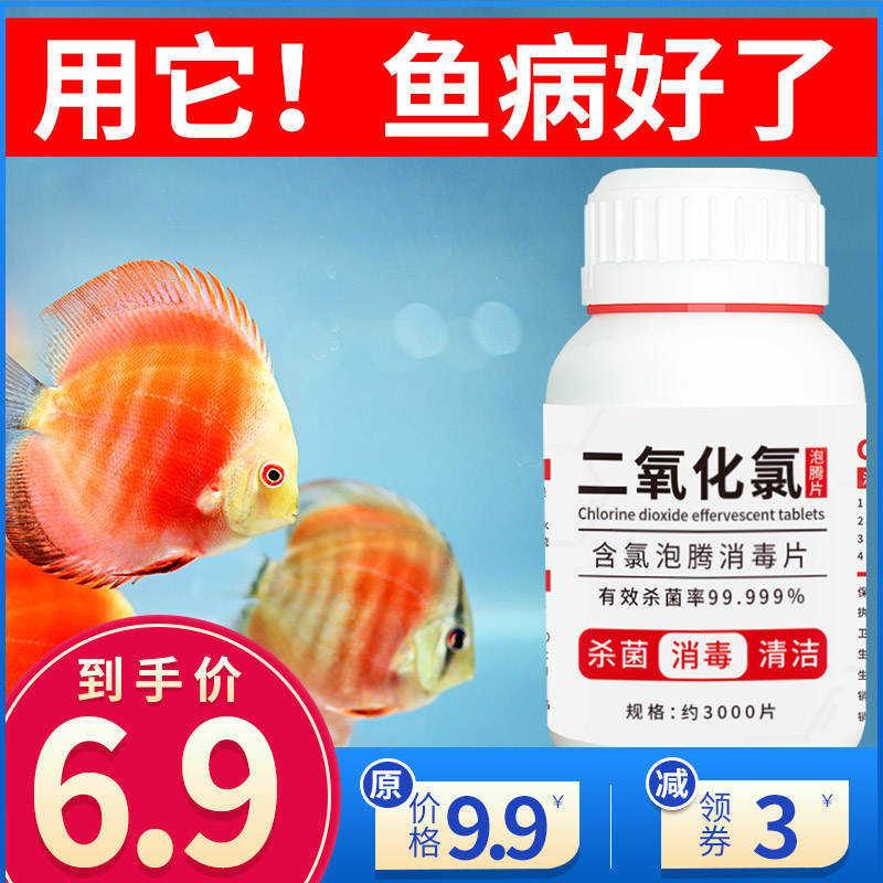 二氧化氯消毒剂泡腾片84鱼缸消毒剂片水族箱杀菌除藻观赏鱼除异味 宠物/宠物食品及用品 鱼缸净水剂 原图主图