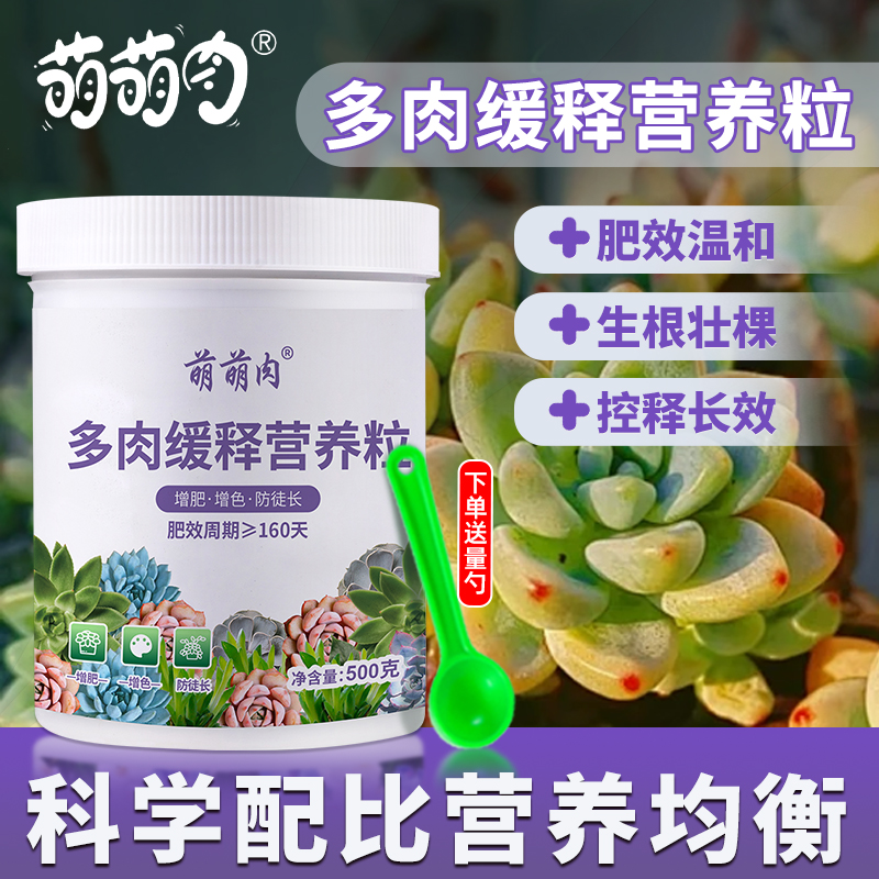 萌萌肉多肉植物缓释营养粒复合肥