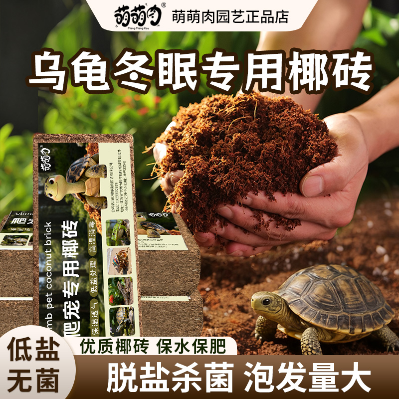 乌龟冬眠专用椰土寄居蟹陆龟