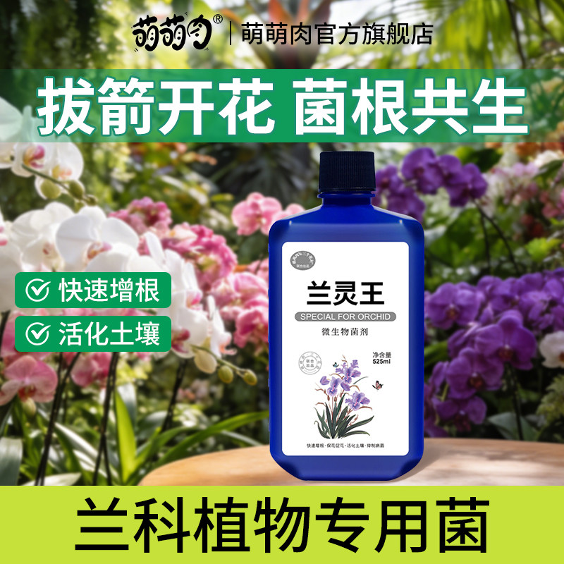 兰灵王兰花专用营养液促花多箭兰菌液蝴蝶兰科兰陵王专用活化剂,鲜花速递/花卉仿真/绿植园艺,家庭园艺肥料,淘宝优惠券,粉丝福利购,淘宝优惠卷