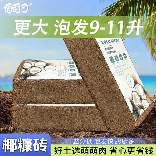 进口优质脱盐椰砖营养土园艺椰土