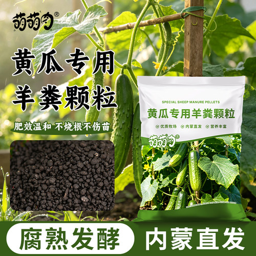 萌萌肉黄瓜专用纯羊粪颗粒内蒙