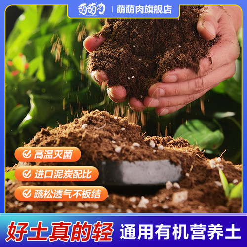 萌萌肉绿植园艺通知营养土