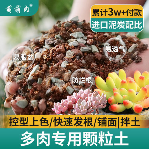 颗粒土多肉营养土泥炭铺面石花土