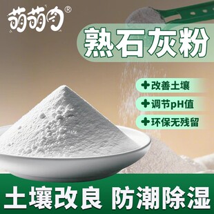 熟石灰粉氢氧化钙消石灰消毒改善水质土壤改善土壤除异味石灰粉