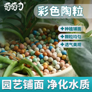 彩色陶粒颗粒花用铺面垫底鱼缸造景多肉营养土陶土粒水培养花透气