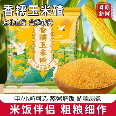 香糯玉米碴东北直发当季新货米饭