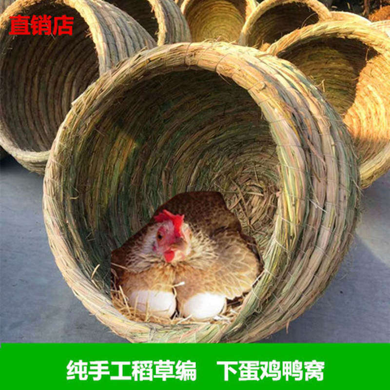 棚干幼鸽鸽舍土鸡蛋白鸽巢手工编织稻草窝草编织家用鸽子窝大鸡