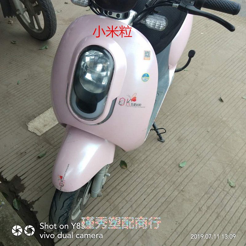 雅迪電動車小米粒小蘿莉貝諾萌悠愛麗絲小糯米真愛五星鉆豹塑料件