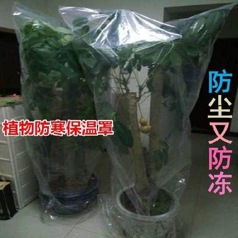 布套发财树保护袋植物保暖罩花盆护树袋子防寒花卉盆栽保温袋塑料