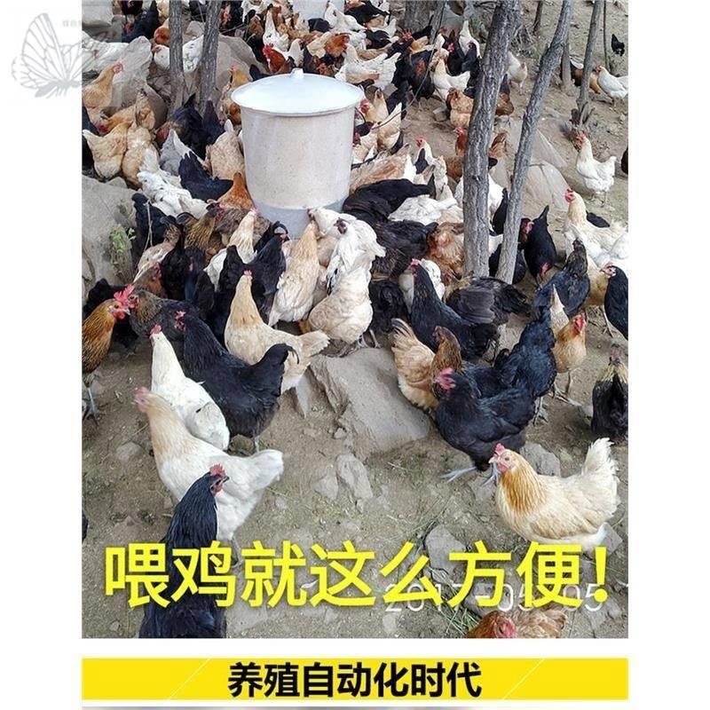 厂养鸡定时喂食器鸡鸭鹅全自动投料机喂鸡器自动智能养殖设备饲促