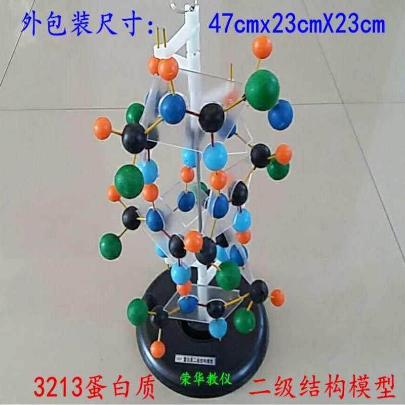 3213蛋白质二级结构模型 球棍式可旋转 生物教学实验器材教学仪器