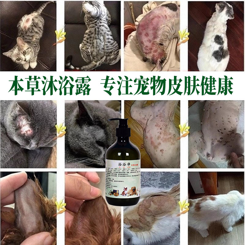 真菌洗液香波杀螨猫藓皮肤病药浴