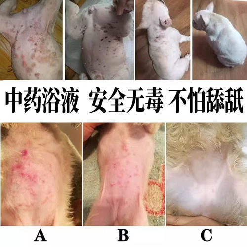 狗狗皮肤病药浴猫藓浴液猫癣泡澡