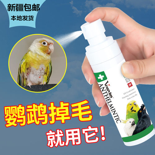 新疆包邮鹦鹉除螨虫羽虱八哥画眉鸽鸟类杀螨鸟用体外驱虫药100ML