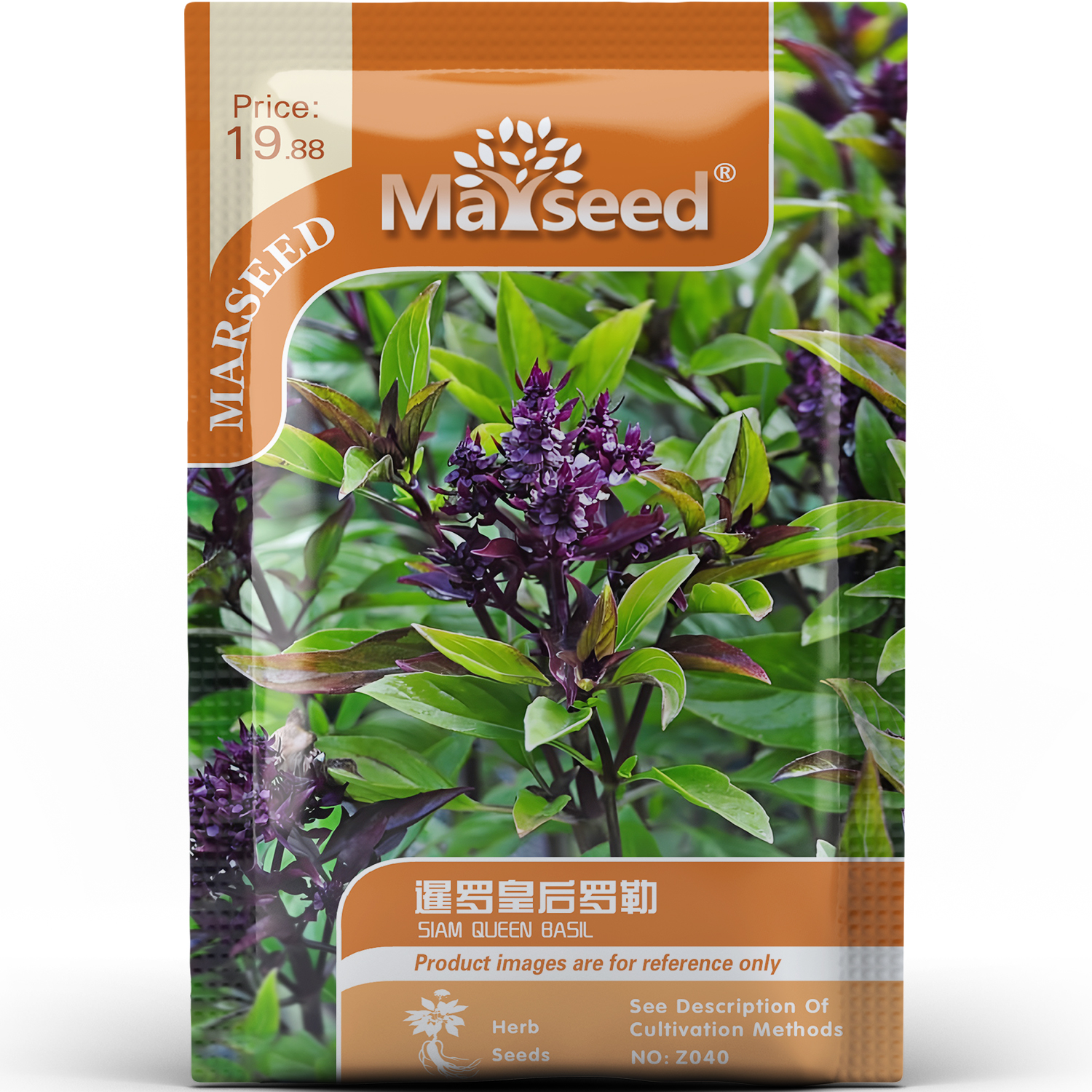 暹罗皇后罗勒种子种苗ASS获奖品种丁香甘草香泰式料理香草C160