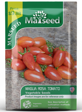 【MARSEED火星家】获奖品种Maglia Rosa罗莎樱桃小番茄种子孑籽