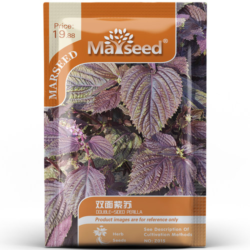 可食用高产双面紫苏种孑子籽
