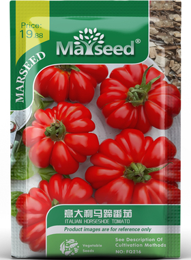 意大利马蹄番茄种子种苗传家宝饱满红宝石光泽地中海风味蔬菜C129