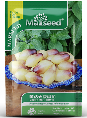 德国小精灵奶油童话天使番茄种子籽孑  绿色健康好品种