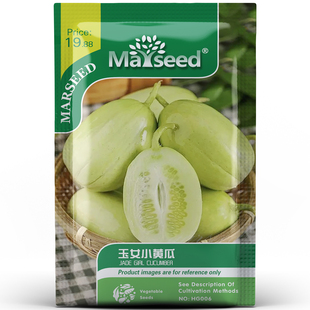 【网红品种】超好吃滴无刺荷兰奶油金童玉女水果小黄瓜种子籽孑苗