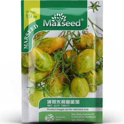 薄荷朱利普番茄种子种苗黄绿条纹甜微辣沙拉零食高产阳台蔬菜C026