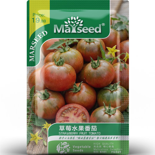 高糖草莓水果番茄口感细腻酸甜多汁浓郁阳台庭院盆栽种子种苗