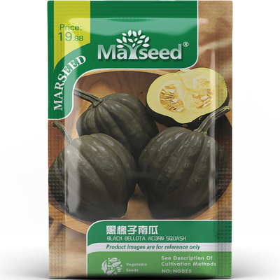 特色品种黑橡子南瓜粉糯又香甜黑皮金瓤菜园阳台盆栽蔬菜种子种苗