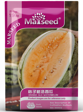 美国传家宝甜蜜夏季桔子格洛巨型西瓜种孑子籽瓜瓤多汁热带水果味
