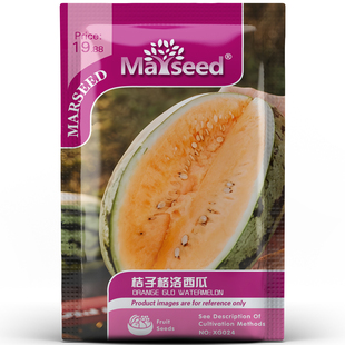 美国传家宝甜蜜夏季桔子格洛巨型西瓜种孑子籽瓜瓤多汁热带水果味