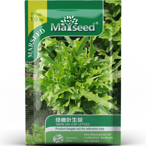 绿橡叶生菜种子种苗橡叶造型波浪边翡翠光泽清甜无涩沙拉蔬菜C193