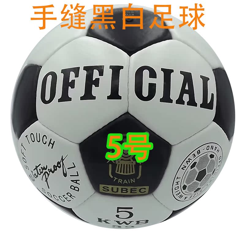Ballon de football - Ref 7393 Image 4
