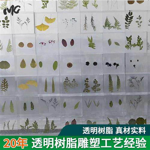 树脂标本内墙装饰品定制昆虫花草标本内嵌创意摆件立体水晶装饰品