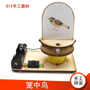 [星之河畔]笼中鸟 趣味电动玩具 小学生创意拼装手工模型材料包