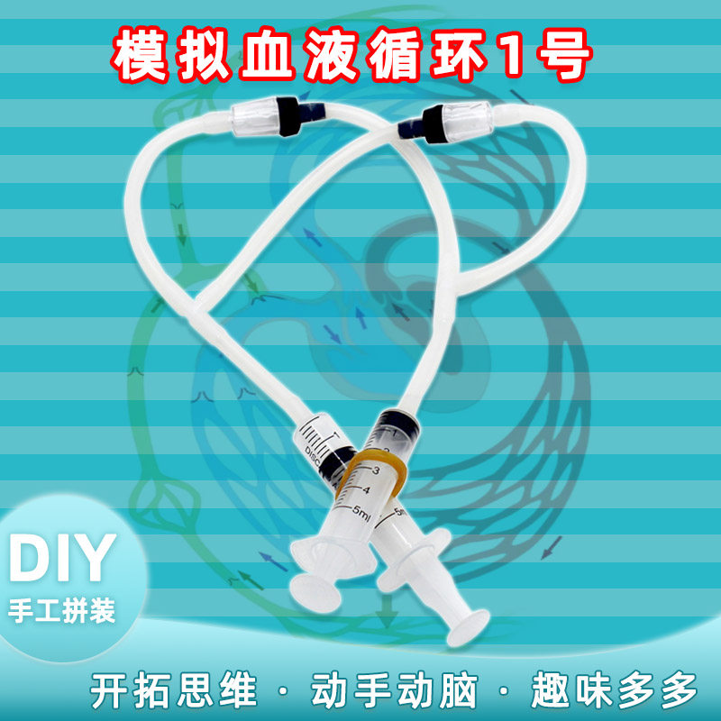 模拟血液循环1号diy小制作手工生物科学小实验体循环血液循环原理
