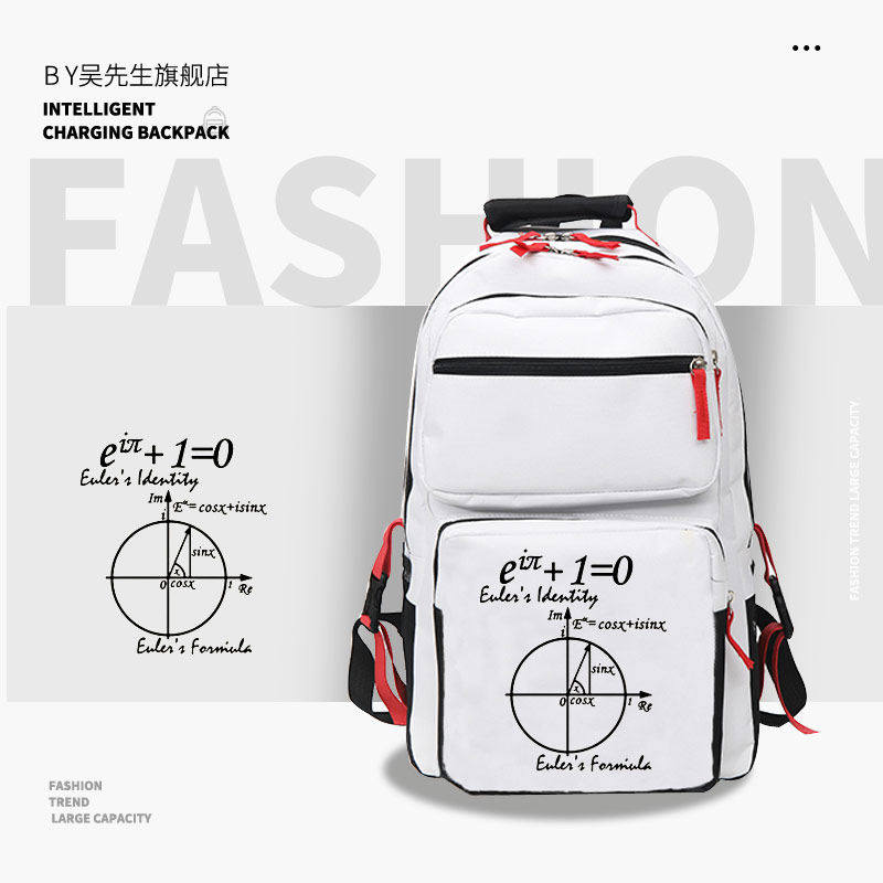 2026欧拉公式定理数学家