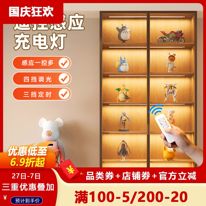 遥控感应灯橱柜LED灯条