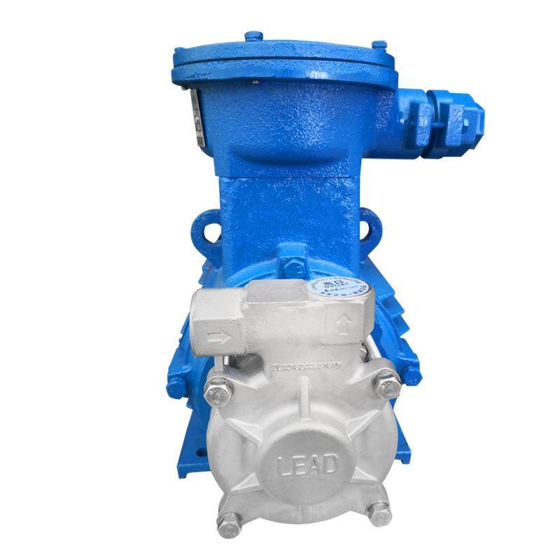 LP9烧5不锈钢高泵 甲醇泵 防爆泵 溶燃剂泵 防592爆机压油泵