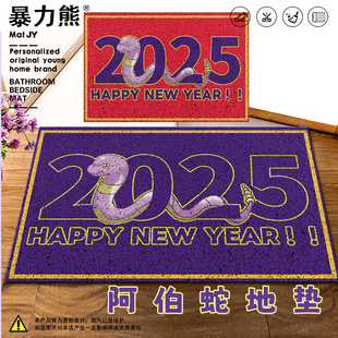 2026年新款丝圈地垫宝可梦阿伯蛇新春阳台地垫门口地垫入户门里