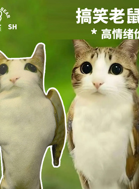 meme猫梗图抽象表情包猫头鹰猫meowl可活动搞笑抽象整蛊老鼠干