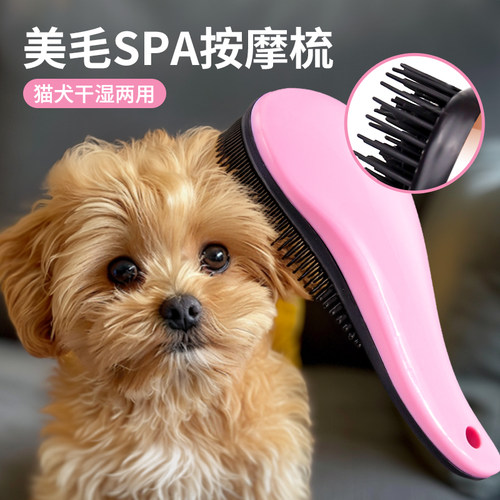狗狗梳子泰迪梳毛专用宠物按摩梳拉毛蓬松神器小型犬比熊狗毛用品