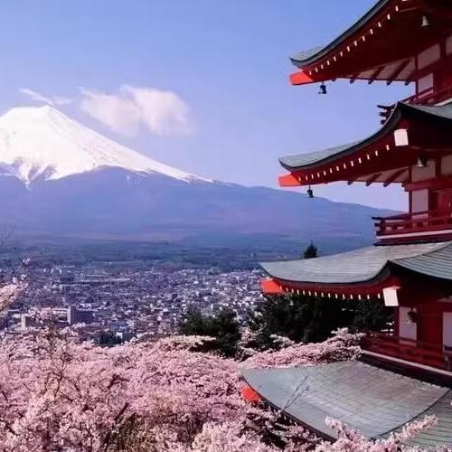 日本國內現貨貼卡其布