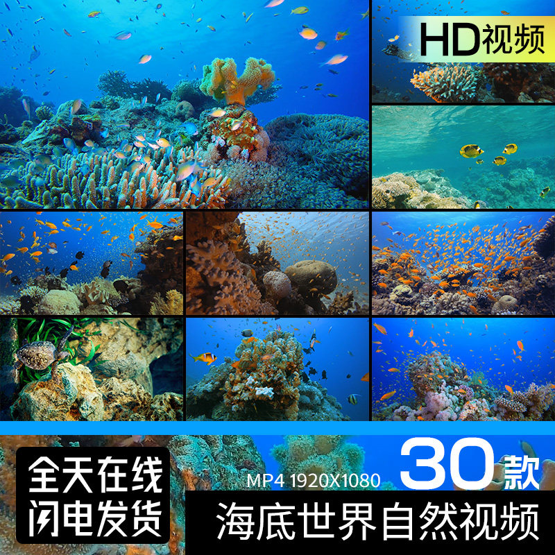 海底世界自然风光鱼珊瑚沉浸式酒吧屏幕舞台led背景vj视频素材