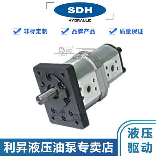 DOH上海SDH液压双齿轮泵CBD-F550/2312LZ2 CBD-F542/联536/568/30